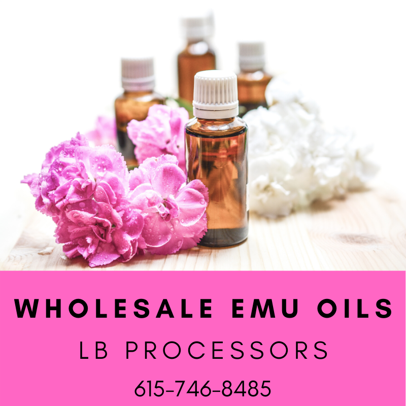 Order Bulk Emu Oil Wholesale from LB Processors 615-746-8485