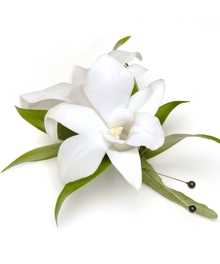 Carithers Flowers: Voted Best Florist Atlanta, unique flower arrangements, Roses, Orchids with same-day flower delivery