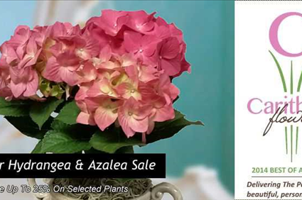 Carithers Flowers: Voted Best Florist Atlanta, unique flower arrangements, Roses, Orchids with same-day flower delivery