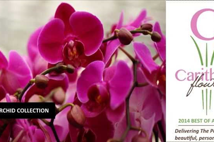Carithers Flowers: Voted Best Florist Atlanta, unique flower arrangements, Roses, Orchids with same-day flower delivery