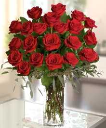 WINNER Best Roses Atlanta GA | Deliver Long-stem roses, Red, Pink, Yellow, Purple, White