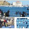 34th Annual Avalon Underwater Cleanup 2015