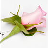 Carithers Flowers Pink Rose Boutonniere