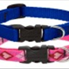 Designer Collars