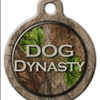 Dog Dynasty Pet ID Tag