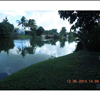 Liza Mendez of Pedro Realty Features Hialeah, Florida Home for Sale 6165 W 16 Av