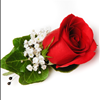 Red Rose Boutonniere Carithers Flowers