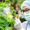 Cannabis Extraction Lab Marketplace Exchange NorCal GCX No Agents 415-475-9180