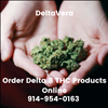 DeltaVera Engages Findit For Online Marketing Services 404-443-3224