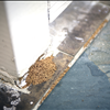 Get Professional Pest Treatment In Spring Hill From Bingham's For All Your Pest Needs 352-397-4848
