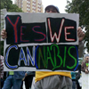 Yes We Cannabis