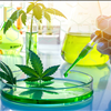 Cannabis Extraction Lab Marketplace Exchange NorCal GCX No Middle Man 415-475-9180