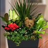 Father's Day Atlanta Flowers Carithers Flowers
