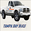 Get Rid of Bugs in Tampa Call Bingham Pest Control Services 