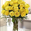 Grand Skyline Yellow Roses