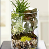 Fathers Day Gift Atlanta Flowers Carithers Flowers