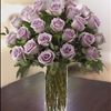 Lavender Purple Roses