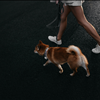 Discreet GPS Tracker Wearable Health and Safety Technology GTX Corp 213-489-3019