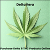 Start Your Marketing Campaign with Findit Like DeltaVera Today 404-443-3224