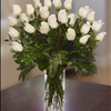 Grand White Roses