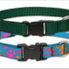 Lupine Dog Collars at DogTagArt