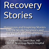 New Book: Stroke Recovery Stories is Now Available on Amazon.com Kindle